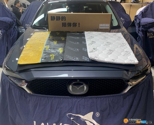 汽车共振有多少种